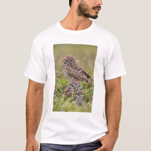T-shirt Chouette bractée, Athene cunicularia, Cape Coral,
