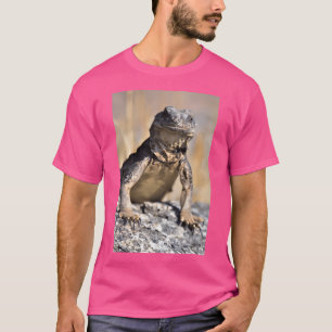 T-shirt Chuckwalla en veille active