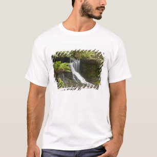T-shirt Chutes Horseshoe, parc national Mount Field,
