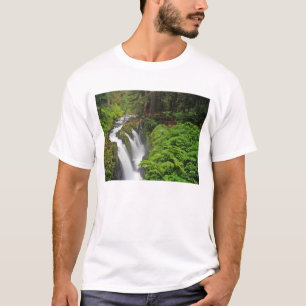 T-shirt Chutes Sol Duc dans le parc national Olympique en