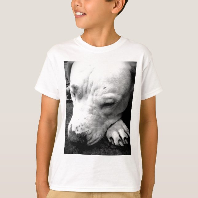 T-shirt cicatrice de harry potter chien pit bull blanc (Devant)
