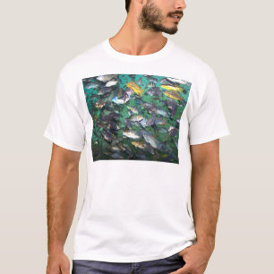 T-shirt Cichlids, cichlids, et plus de cichlids ! Poissons