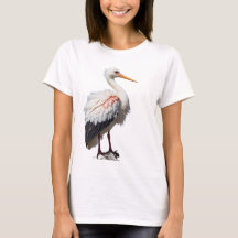 Cigogne