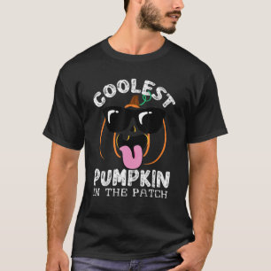 T-shirt Citrouille le plus froid dans le Patch Toddler Boy