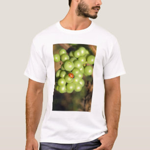 T-shirt Coccinelle en gros plan sur des raisins verts Pino