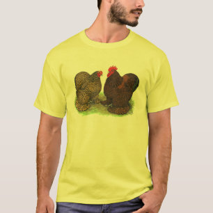 T-shirt Cochins : à tôle dorée