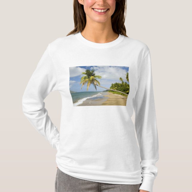 T-shirt Coconut Grove Beach à Cades Bay, avec St 2 (Devant)