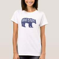 Coeur d'Alene Idaho Bear
