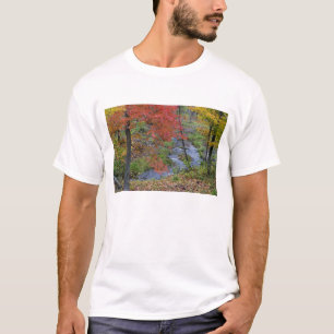 T-shirt Coles Creek bordée d'érables automnaux près de