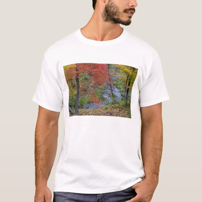 T-shirt Coles Creek bordée d'érables automnaux près de (Devant)