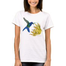 colibri Hirondelle-coupé la queue