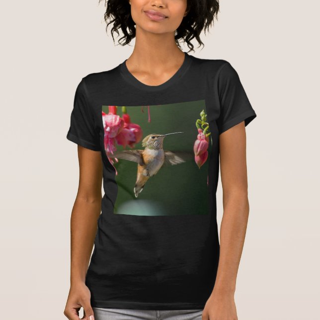 T-shirt Colibri Rufous alimentant sur un fuchsia (Devant)