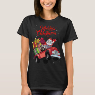 T-shirt Collie Porté Avec Le Père Noël Dans Le Chien De Ca