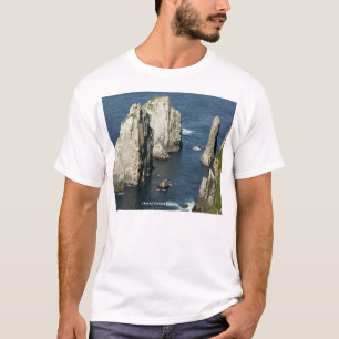T-shirt Colonies d'oiseaux marins Chowiet, Alaska