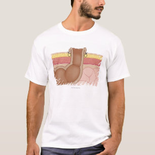 T-shirt Colostomie permanente