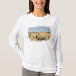 T-shirt Comté de Crook, Balles de foin