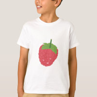 Conception des fruits de framboise
