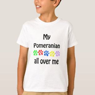 T-shirt Conception des marches de Poméranie