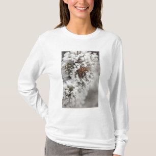 T-shirt Cône de pin de Lodgepole en hiver dans Yellowston