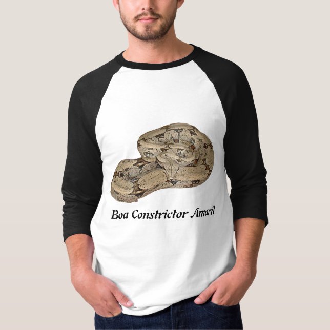 T-shirt Constricteur de boa Amaril 3/4 raglan de douille (Devant)