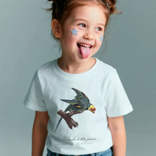 T-Shirt Conure de Caroline, Conuropsis carolinensis