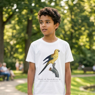 T-shirt Conure soleil Aratinga solstitialis