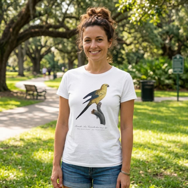 T-shirt Conure soleil ou Aratinga solstitialis (Guarouba dans sons jeune age / Sun parakeet. Women Basic White T-Shirt)