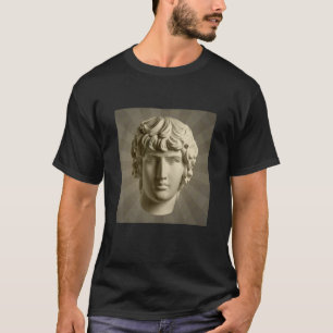T-shirt Cool Apollo Plaster Statue Illustration graphique