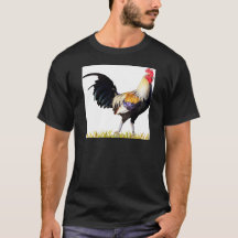 Coq d'or d'Américain de Duckwing