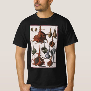 T-shirt Coquillages, Coquillages Anciens, Vie Marine Océan