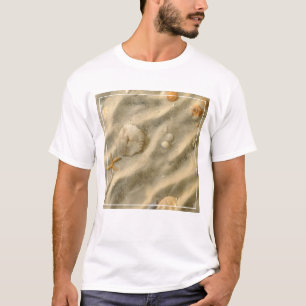 T-shirt Coquillages en sable