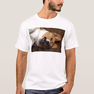 T-shirt Corgi