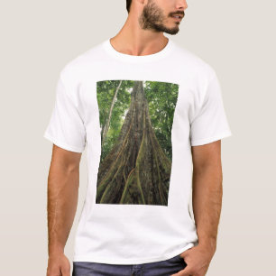 T-shirt Costa Rica, Parc national du Corcovado, habillé