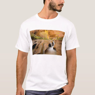 T-shirt Cottonwoods en automne, Coyote Gulch, Glen