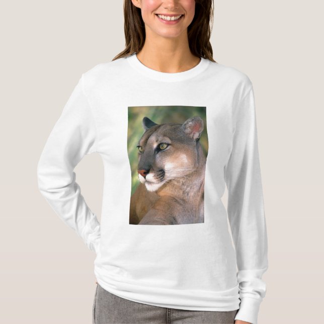 T-shirt Cougar, Californie (Devant)