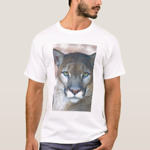 T-shirt Cougar, puma, panthère de Floride, Puma