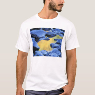 T-shirt Couleurs d'automne reflétées dans un bassin peu pr