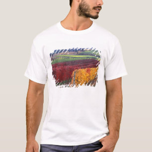 T-shirt Couleurs d'automne rouges et jaunes intenses sur G