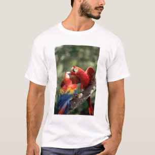 T-shirt Couple d'Ara rouge