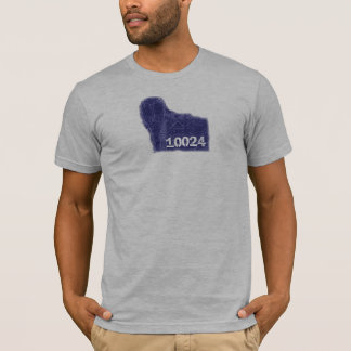 T-shirt Courrier de lampe de Central Park dans le code