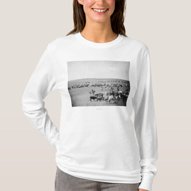T-shirt Cowboys avec des bétail sur la photographie de (Devant)