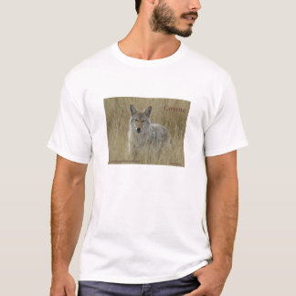 T-shirt Coyote R2 dans les hautes herbes