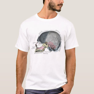 T-shirt Crâne d'enfant avec la couleur