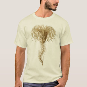 T-shirt Crinoids
