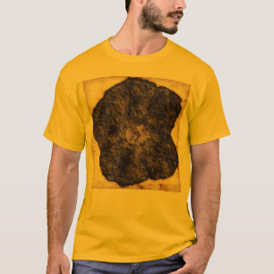 T-shirt Croquis de l'ancien temps de la gloire du matin