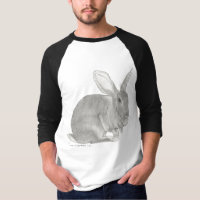 Croquis géant flamand de lapin le géant doux