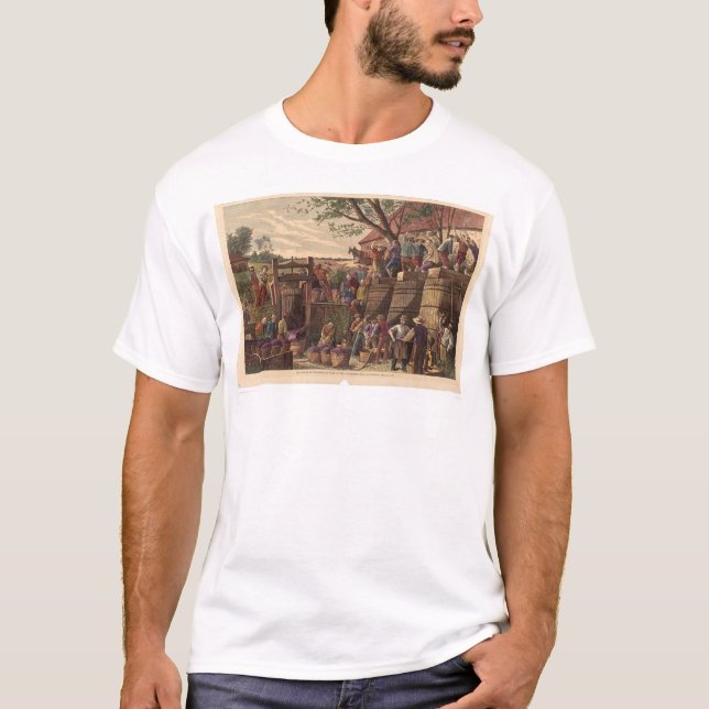 T-shirt Cru en Californie (0604A) (Devant)