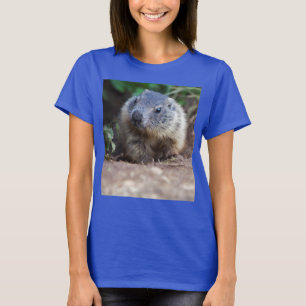 T-shirt Curieux bébé marmotte Tee