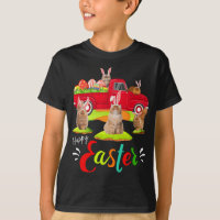 Cute Bunny Chats Perse équitation Camion Rouge Hap