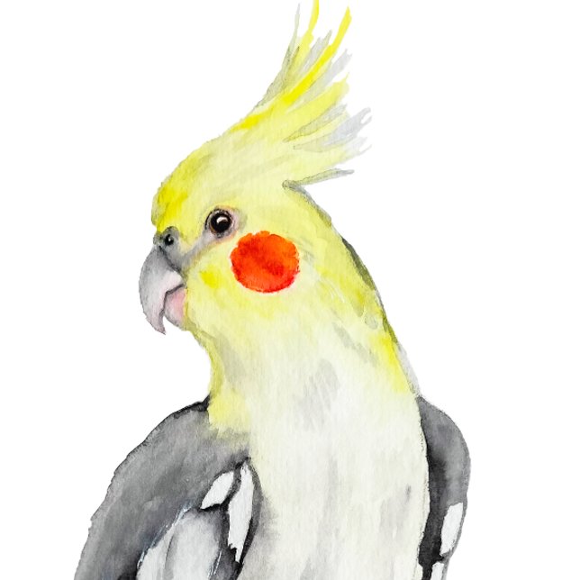 T-shirt Cute Cockatiel Aquarelle Parrot. (Créateur téléchargé)